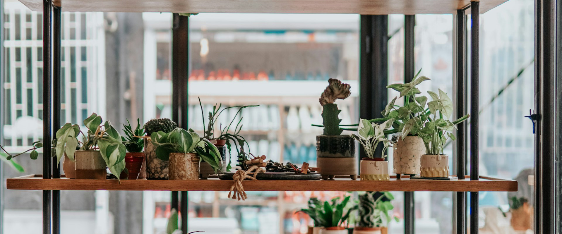 botanical cafe image